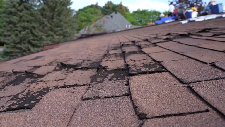 Best Roof Ventilation Installation  in Glen Carbon, IL